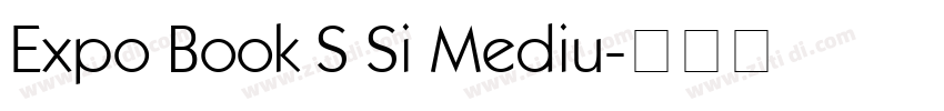 Expo Book S Si Mediu字体转换